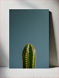 Πίνακας, Cactus with Water Droplets Κάκτος με σταγονίδια νερού