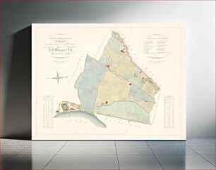 Πίνακας, Cadastral map