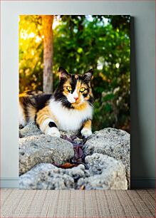 Πίνακας, Calico Cat in Nature Calico Cat in Nature