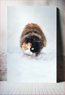 Πίνακας, Calico Cat in Snow Calico Cat in Snow