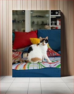 Πίνακας, Calico Cat on Colorful Couch Calico Cat στον πολύχρωμο καναπέ