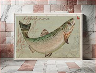 Πίνακας, California Salmon, from the series Fishers and Fish (N74) for Duke brand cigarettes