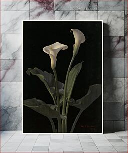 Πίνακας, Calla lilies