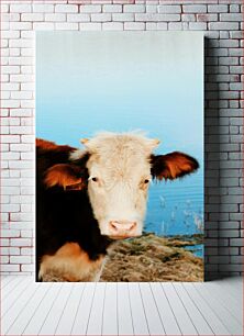 Πίνακας, Calm Cow by the Lake Ήρεμη αγελάδα δίπλα στη λίμνη