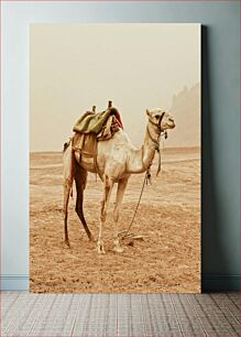 Πίνακας, Camel in Desert Landscape Καμήλα στο έρημο τοπίο