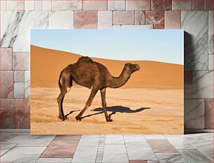 Πίνακας, Camel in the Desert Καμήλα στην έρημο