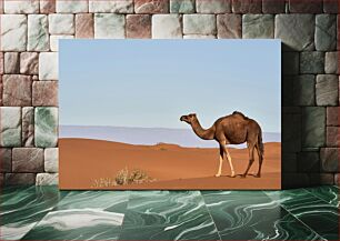 Πίνακας, Camel in the Desert Καμήλα στην έρημο