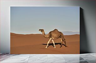 Πίνακας, Camel in the Desert Καμήλα στην έρημο