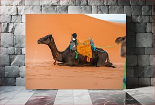 Πίνακας, Camel Resting in the Desert Καμήλα που αναπαύεται στην έρημο