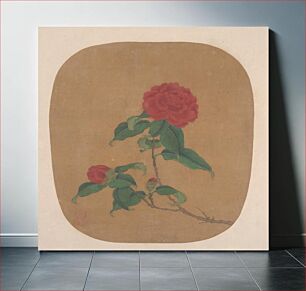 Πίνακας, Camellia Flowers