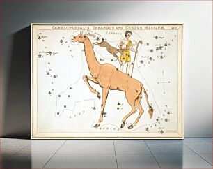Πίνακας, "Camelopardalis, Tarandus and Custos Messium", plate 2 in Urania's Mirror, a set of celestial cards accompanied by A familiar treatise on astronomy