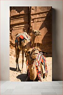 Πίνακας, Camels in a Desert Setting Καμήλες σε σκηνικό της ερήμου
