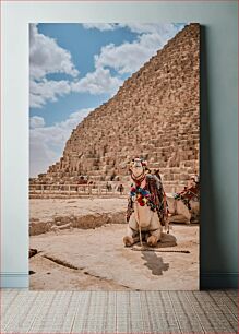 Πίνακας, Camels in Front of Ancient Pyramid Καμήλες μπροστά από την αρχαία πυραμίδα
