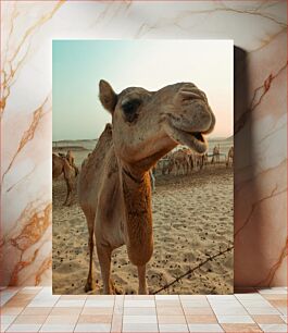 Πίνακας, Camels in the Desert Καμήλες στην έρημο