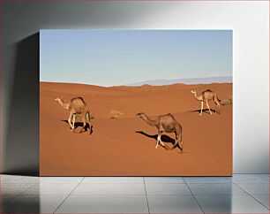 Πίνακας, Camels in the Desert Καμήλες στην έρημο