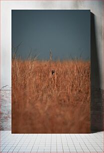 Πίνακας, Camouflaged in the Tall Grass Καμουφλαρισμένο στο ψηλό γρασίδι