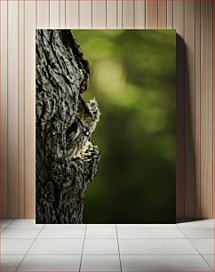 Πίνακας, Camouflaged Owl in Tree Καμουφλαρισμένη κουκουβάγια στο δέντρο