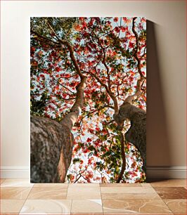 Πίνακας, Canopy of Colorful Blossoms Κουβούκλιο από πολύχρωμα άνθη