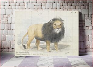 Πίνακας, Cape Lion by Charles Hamilton Smith