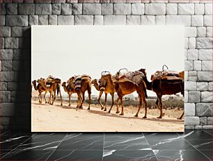 Πίνακας, Caravan of Camels Καραβάνι με καμήλες