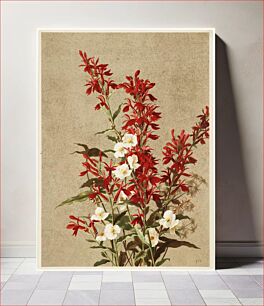 Πίνακας, Cardinal flowers by Ellen Thayer Fisher