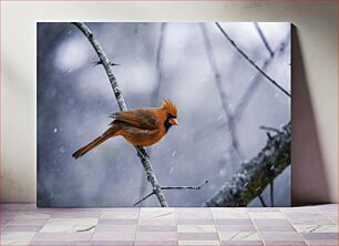 Πίνακας, Cardinal in Snow Καρδινάλιος στο Χιόνι