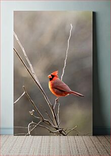 Πίνακας, Cardinal Perched on a Branch Καρδινάλιος σκαρφαλωμένος σε ένα κλαδί