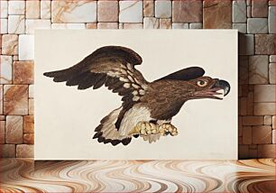 Πίνακας, Carved Wooden Eagle (ca. 1939) by Robert Gilson