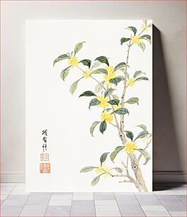 Πίνακας, Cassia blossom (1656) vintage Chinese painting by Xiang Shengmo