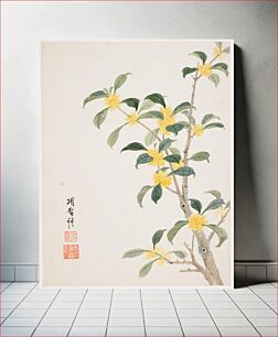 Πίνακας, Cassia Blossom from a Flower Album of Ten Leaves (1656) by Xiang Shengmo