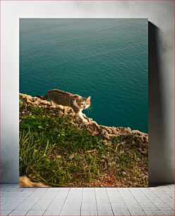 Πίνακας, Cat by the Cliffside Cat by the Cliffside