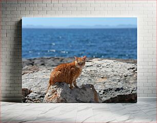 Πίνακας, Cat by the Sea Γάτα δίπλα στη θάλασσα