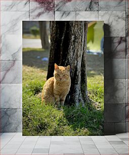 Πίνακας, Cat by the Tree Cat by the Tree