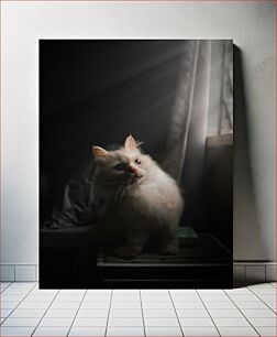 Πίνακας, Cat by the Window Γάτα δίπλα στο παράθυρο