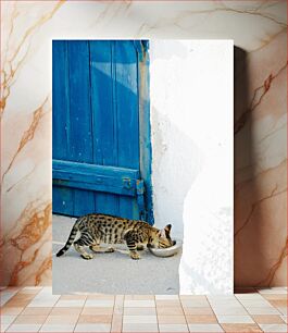 Πίνακας, Cat Drinking by Blue Door Cat Drinking by Blue Door