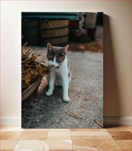 Πίνακας, Cat Exploring the Outdoors Γάτα που εξερευνά την ύπαιθρο