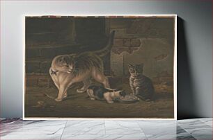 Πίνακας, Cat family