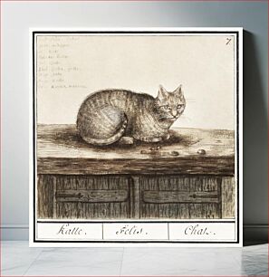 Πίνακας, Cat, felis catus (1596–1610) by Anselmus Boëtius de Boodt