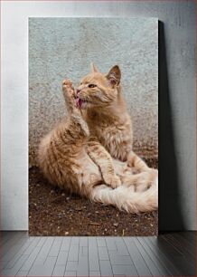 Πίνακας, Cat Grooming Itself Η ίδια η γάτα καλλωπίζεται