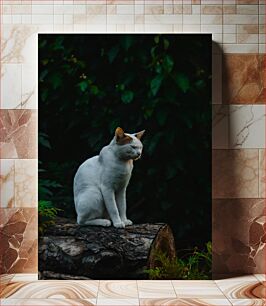 Πίνακας, Cat in Nature Γάτα στη φύση