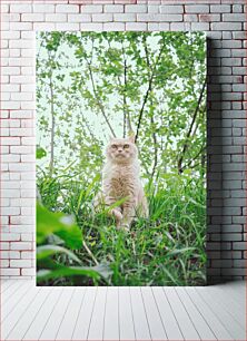Πίνακας, Cat in Nature Γάτα στη φύση