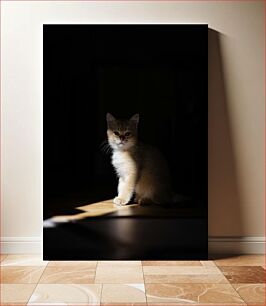 Πίνακας, Cat in Shadow Γάτα στη σκιά