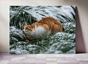 Πίνακας, Cat in Snowy Grass Γάτα στο χιονισμένο γρασίδι