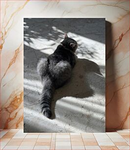 Πίνακας, Cat in Sunlight Γάτα στο φως του ήλιου