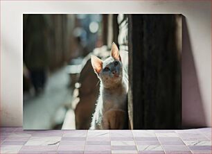 Πίνακας, Cat in Sunlight Γάτα στο φως του ήλιου