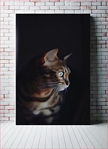 Πίνακας, Cat in the Dark Γάτα στο σκοτάδι