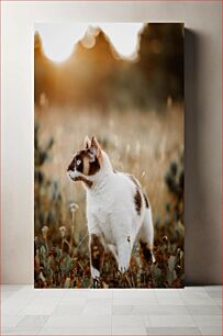 Πίνακας, Cat in the Field Γάτα στο χωράφι