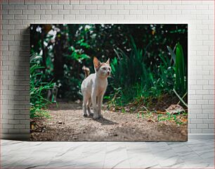 Πίνακας, Cat in the Garden Γάτα στον κήπο