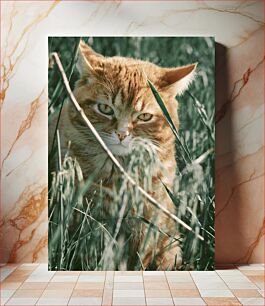 Πίνακας, Cat in the Grass Γάτα στο γρασίδι