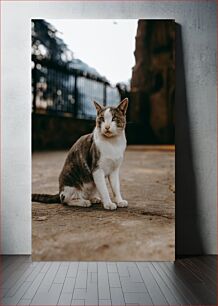 Πίνακας, Cat in the Outdoors Γάτα στην ύπαιθρο